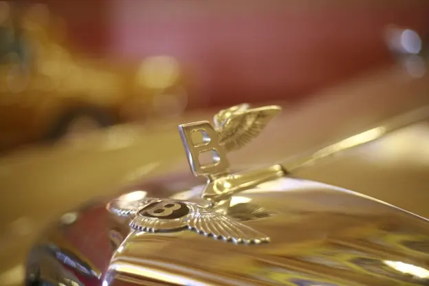 Omni Casino Android/iOS Forrit